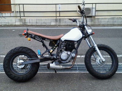20120212a.jpg