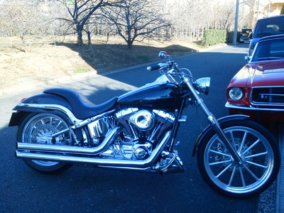 20111228b.jpg