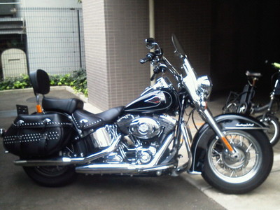 20120105a.jpg