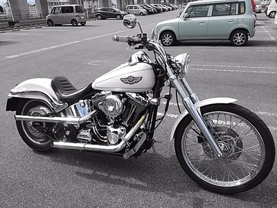 201900308a.jpg