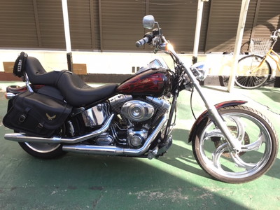 20190111a.jpg